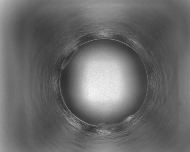 X0000058110409200509301906