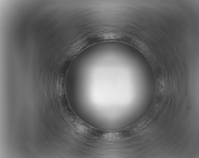 X0000058110422200509301905