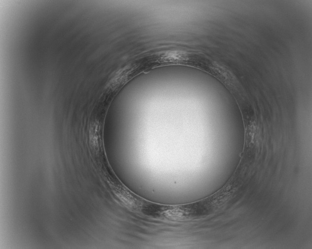 X0000058110423200509301905