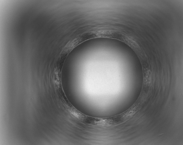 X0000058110430200509301905