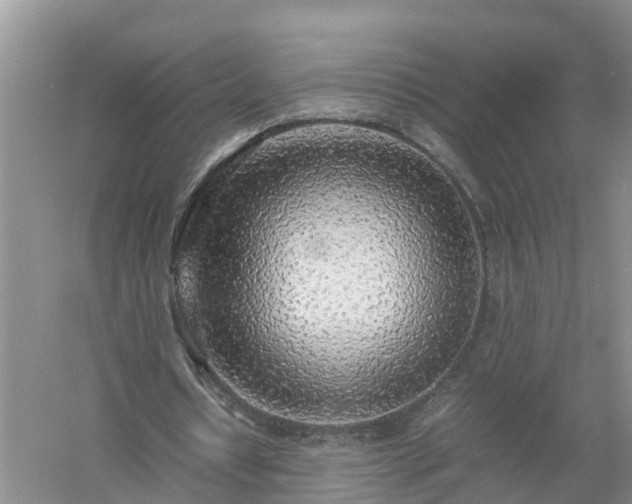 X0000058110434200509301904