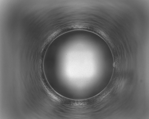X0000058110445200509301905