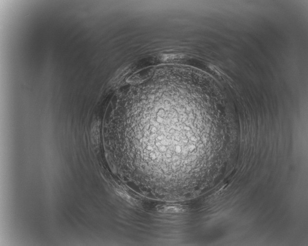 X0000058110475200509301905
