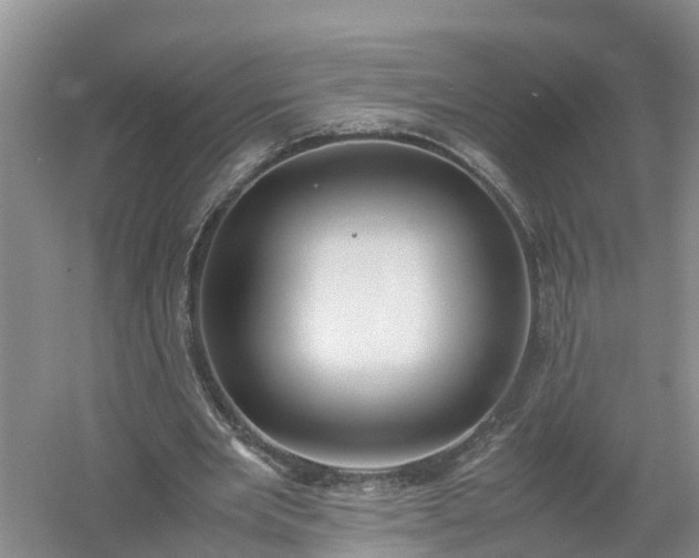 X0000058110485200509301904