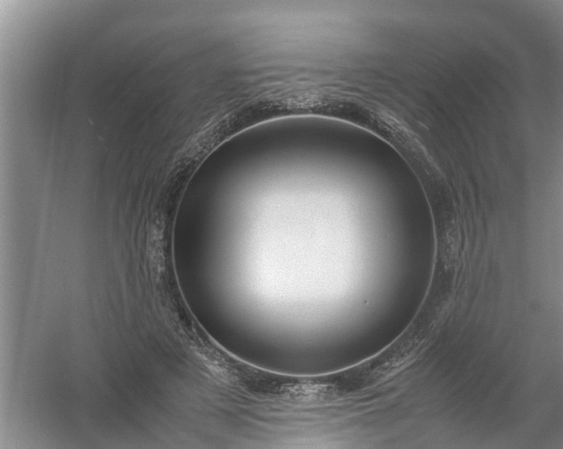 X0000058110497200509301904