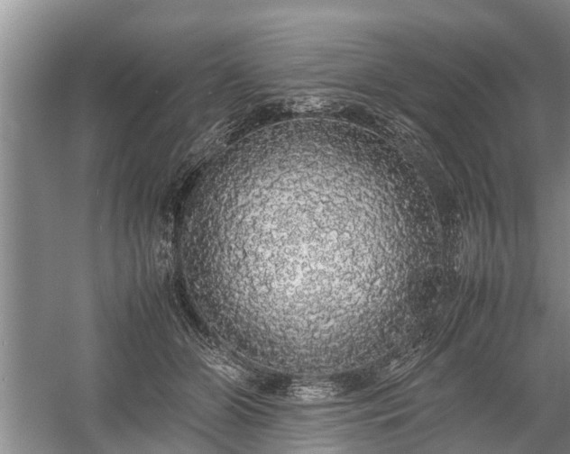 X0000058110510200509301904