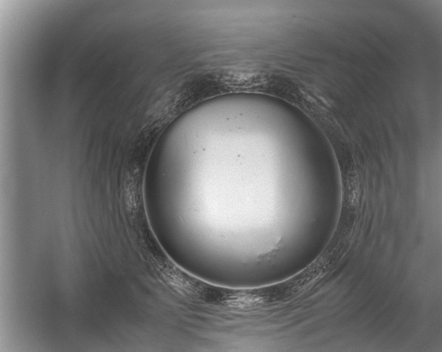 X0000058110515200509301904
