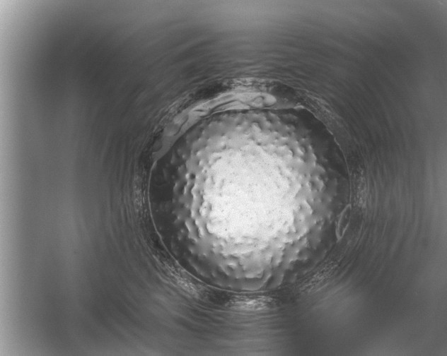 X0000058110569200509301903