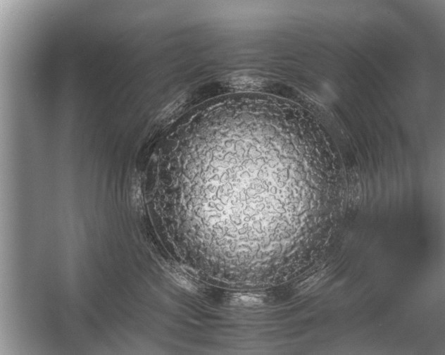 X0000058110573200509301904