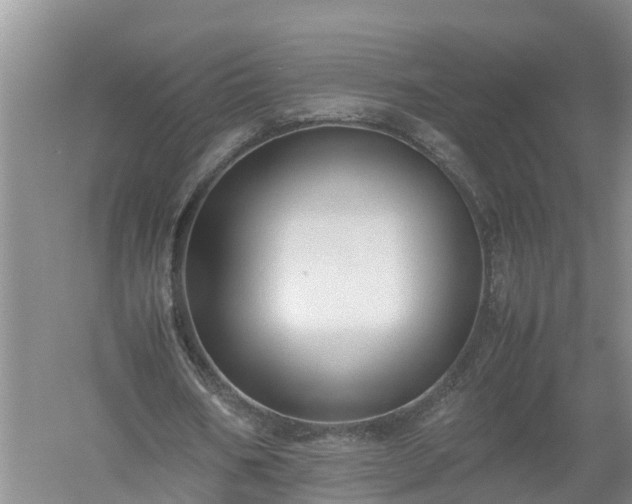 X0000058110578200509301903