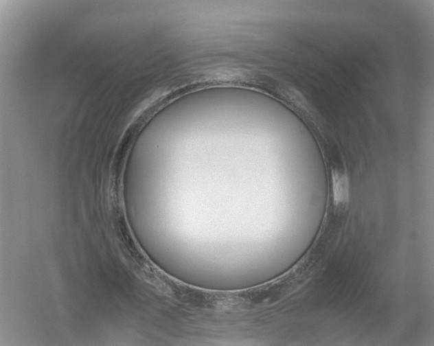 X0000058110579200509301903