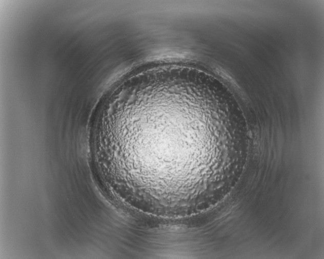 X0000058110582200509301903