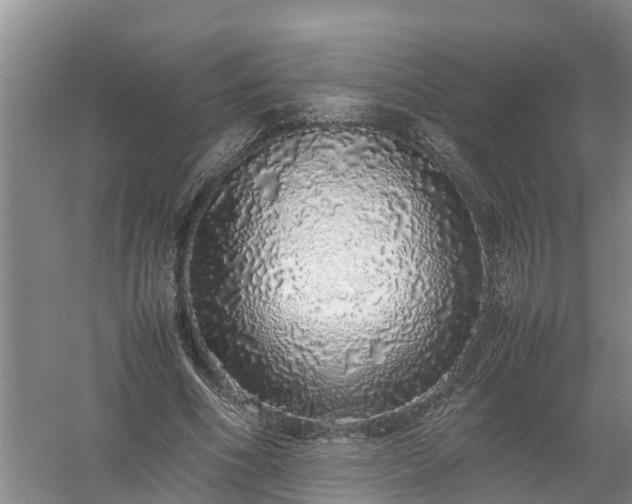 X0000058110586200509301903