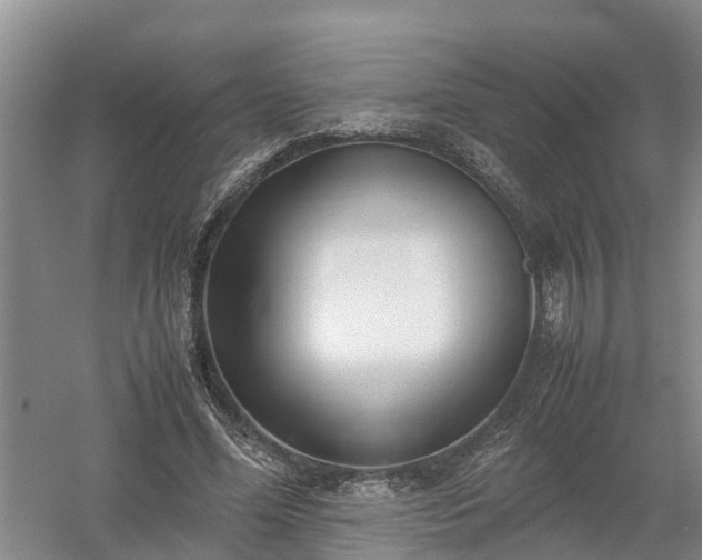 X0000058110588200509301903