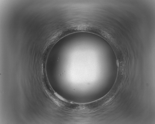 X0000058110589200509301903