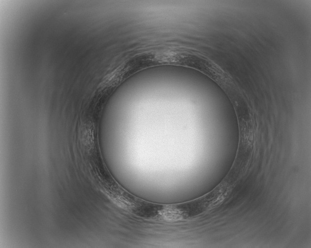 X0000058110603200509301902