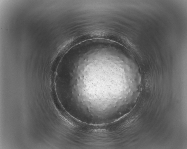 X0000058110637200509301901
