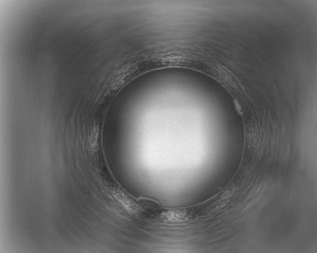 X0000058110660200509301902