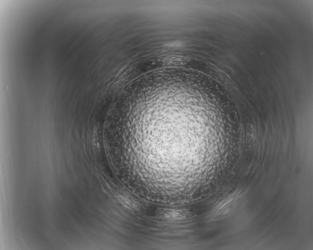 X0000058110663200509301902