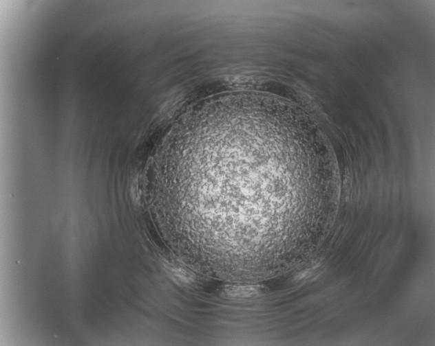 X0000058110671200509301902