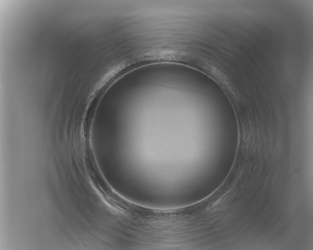 X0000058110674200509301901