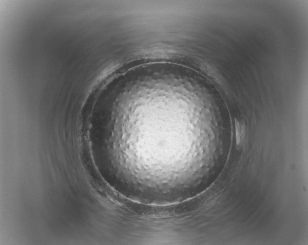 X0000058110675200509301901