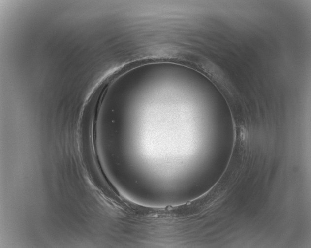 X0000058110676200509301901