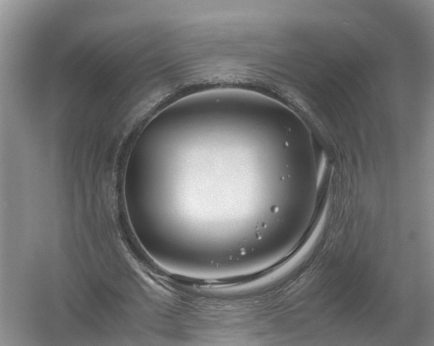 X0000058110677200509301901