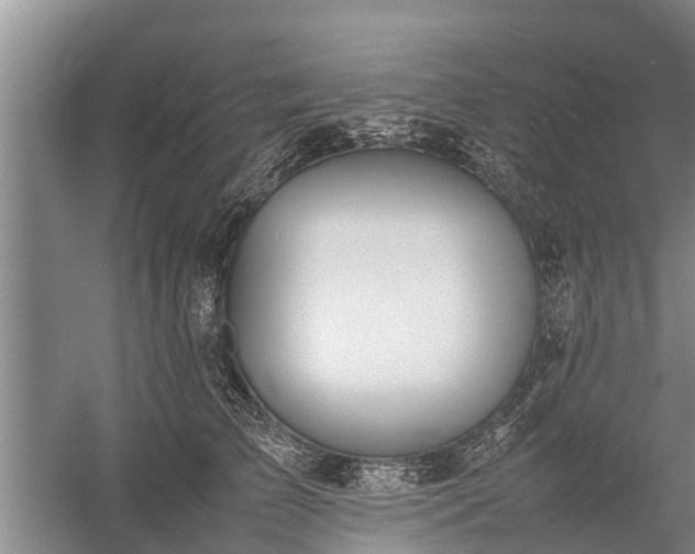 X0000058110709200509301901