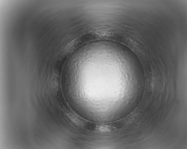 X0000058110710200509301901