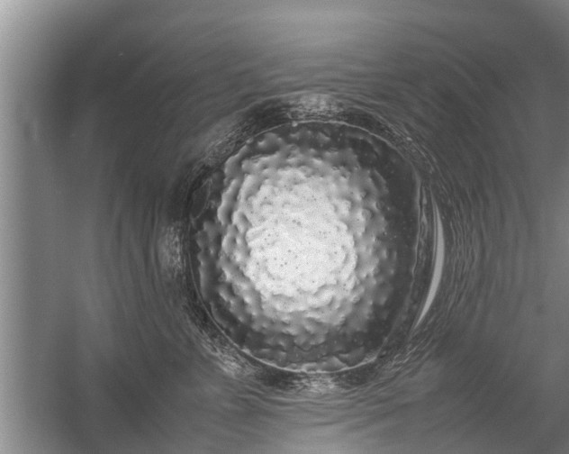 X0000058110715200509301900