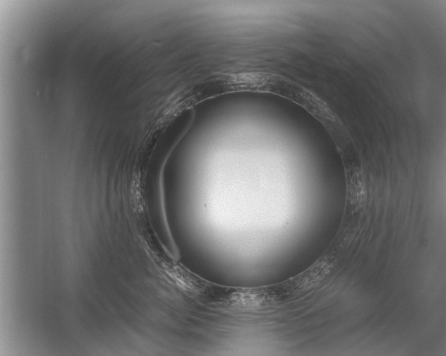 X0000058110764200509301900