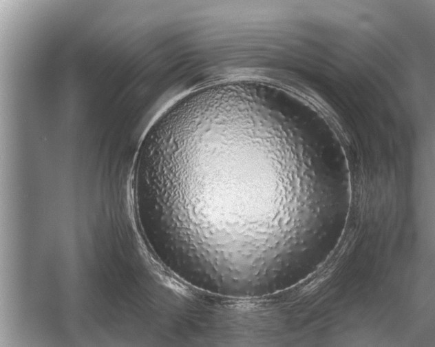 X0000058110814200509301859