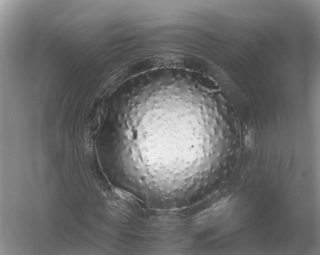 X0000058110819200509301858