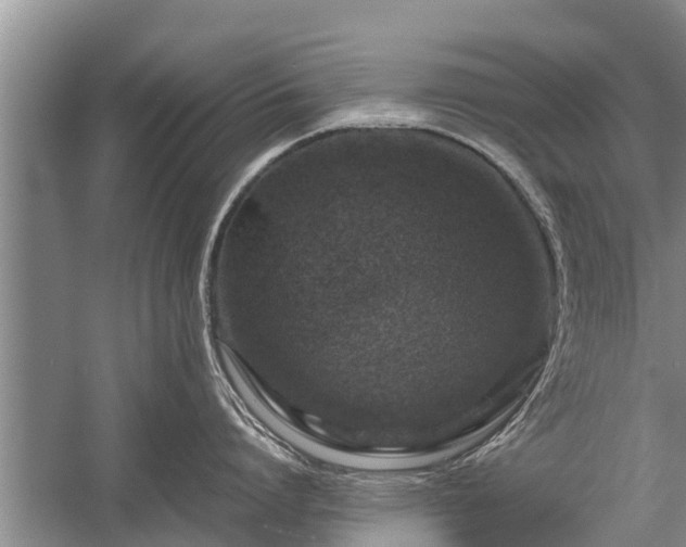 X0000058110864200509301859