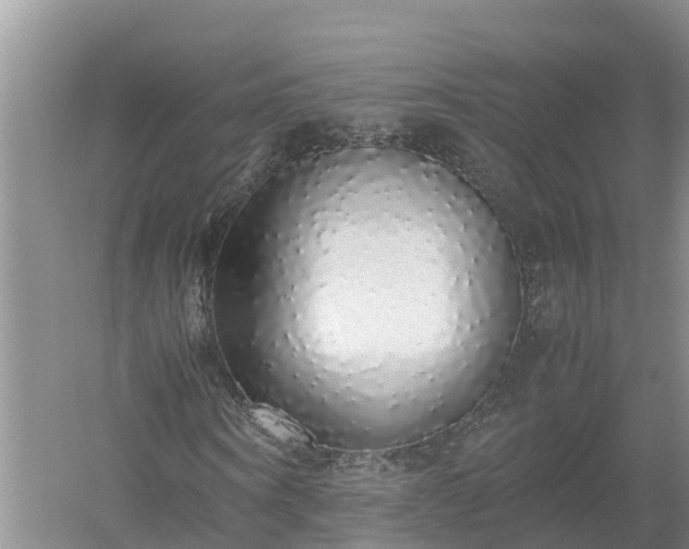 X0000058110866200509301858