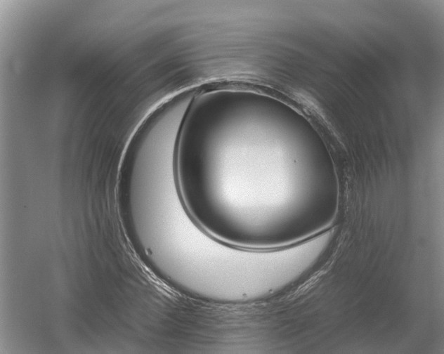 X0000058110924200509301856