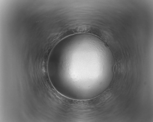 X0000058110962200509301856