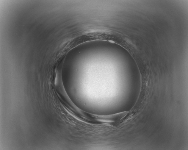X0000058110965200509301856
