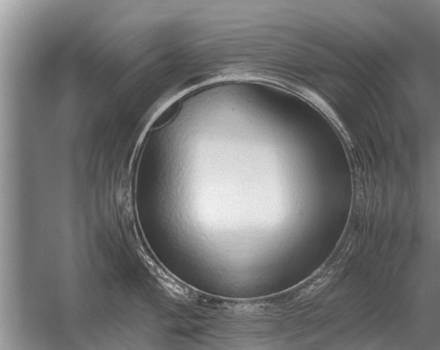 X0000058111004200509301856