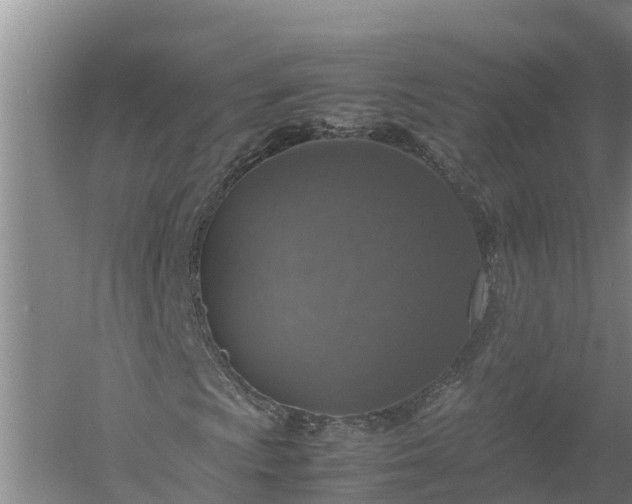 X0000058111009200509301855