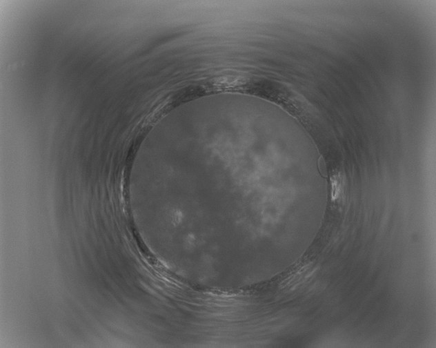 X0000058111011200509301855