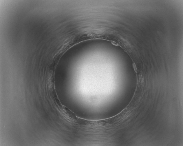X0000058111012200509301855