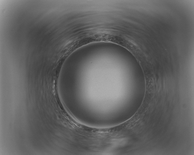 X0000058111013200509301855