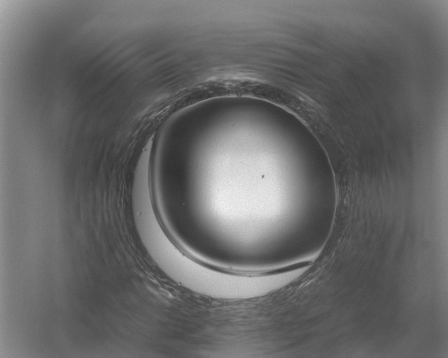 X0000058111014200509301855