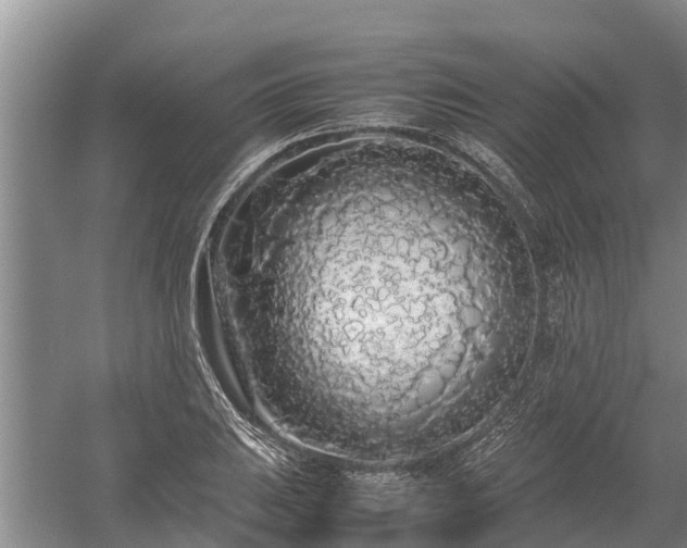 X0000058111031200509301855