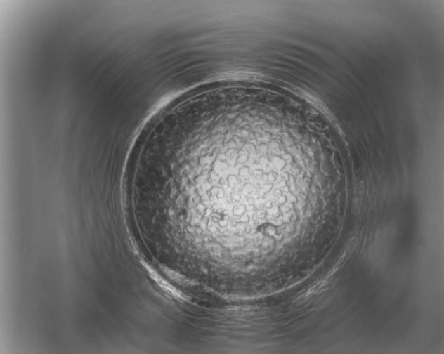 X0000058111037200509301855