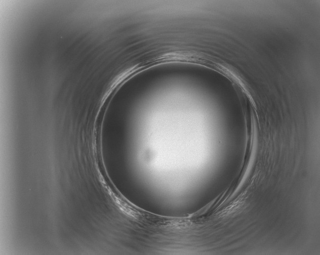 X0000058111050200509301855