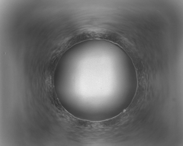 X0000058111061200509301855