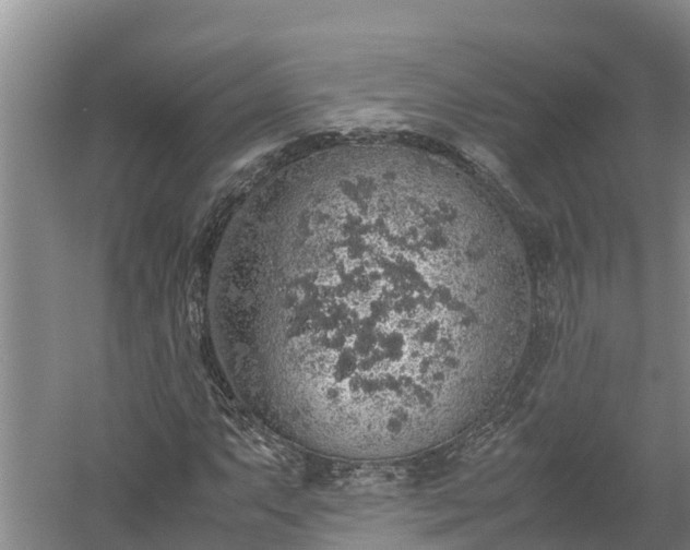 X0000058111063200509301855